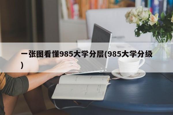 一张图看懂985大学分层(985大学分级)